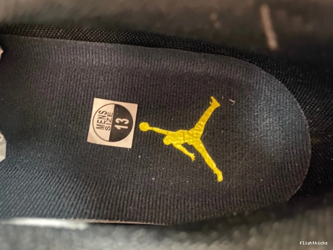 FJ0395-100 Lightning Jordan Air 17 Low 0921